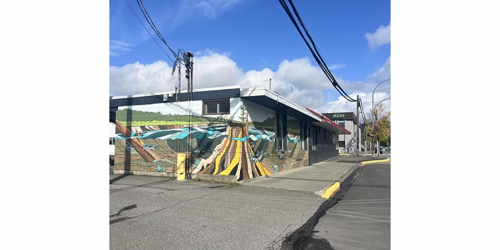 3223 EMERSON STREET Terrace Photo 5 3223 EMERSON STREET Terrace Photo 5